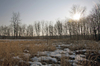 Winter clearing