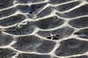 Star in the Sand