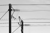 Railway power cables
