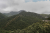 Green mountains