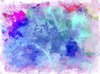 Paint 5