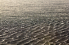 Exposed Sand Bar
