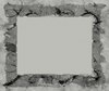 Wild Frame or Border 4