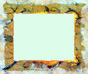 Wild Frame or Border 2