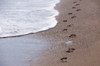 Follow my steps 2