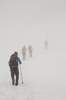 Expedition in fog