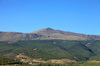 Summer landscape