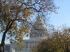 washington DC