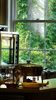 Kitchen in the country
