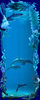 Under the Sea