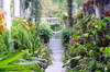 Carolina Garden Path