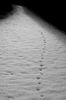 Spooky path