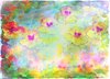Nasturtium Abstract 7