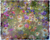 Wildflower Collage 3