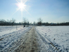winter scenery