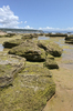 Rocky shoreline