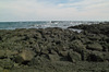 Jeju island coast rock in KORE