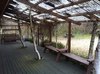 white birch house