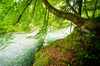 Natural River