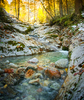Mountain Creek