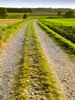 Simple Field Path