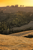 Tuscany Farm on Top of Hill