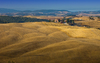 Tuscany Farm in Fields