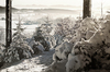 Snowy Winter Morning