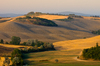 Tuscany View