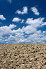 Plowed Field