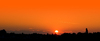 Sunset on Forest