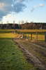 Footpath in Fields