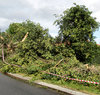 storm damage3