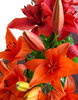 lily display7