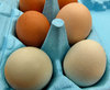 egg pack3
