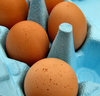 egg pack5