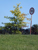 Slow road