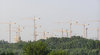 Cranes