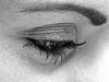 Eye Sight  hdr