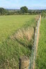 Fence perspective