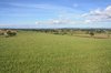 Rural landscape