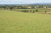 Rural landscape