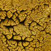 Dry earth texture