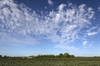 Agricultural landscape
