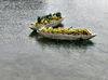 banana boat1