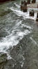 riding the rapids1