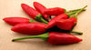 red hot2
