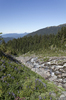 Mountain stream