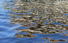 Reflections
