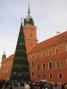 Warsaw Christmas Tree